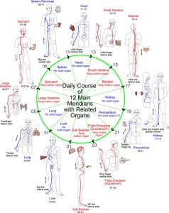 La danza dei 14 muscoli