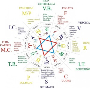 FORMAZIONE IN “TOUCH FOR HEALTH”