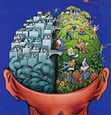 Kinesiologia per l’apprendimento